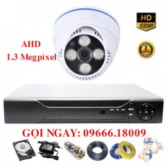 Bộ 1 Camera Dome Ricotech 1.3 Megapixel